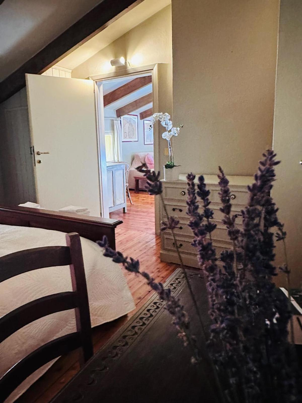 Garden Loft By Veneto Villa Villa Osti Zewnętrze zdjęcie