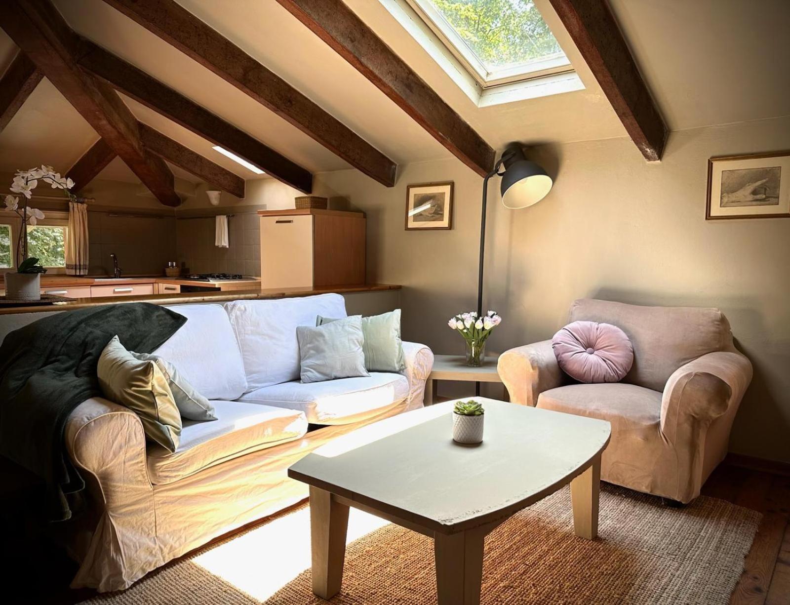 Garden Loft By Veneto Villa Villa Osti Zewnętrze zdjęcie